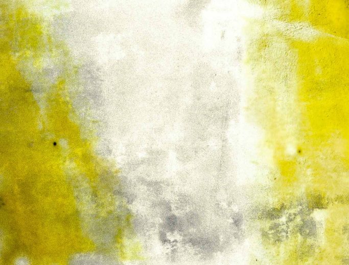 # Apparences 20 / 2015 / 100x81 Tableau # Apparences 20