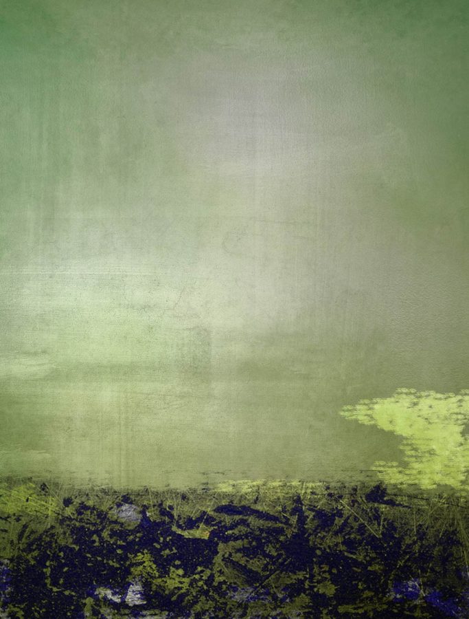 # Apparences 117 / 2021 / 100x81 Tableau # Apparences 117