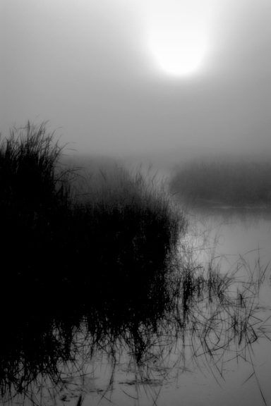 Lever de soleil embrumé sur un marais, reflet sombre dans l'eau.