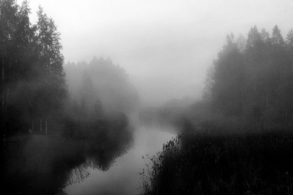 Paysage brumeux avec une rivière serpentant au milieu de forêts sombres.