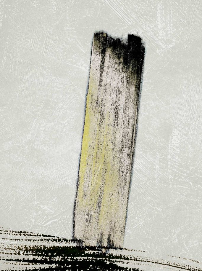 # Graphic 205 / 2021 / 100x81 Tableau # Graphic 205