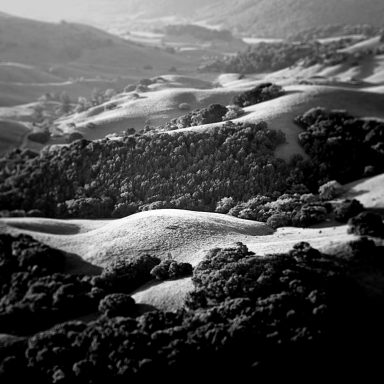 Paysage en noir et blanc avec collines et forêts ondulantes.